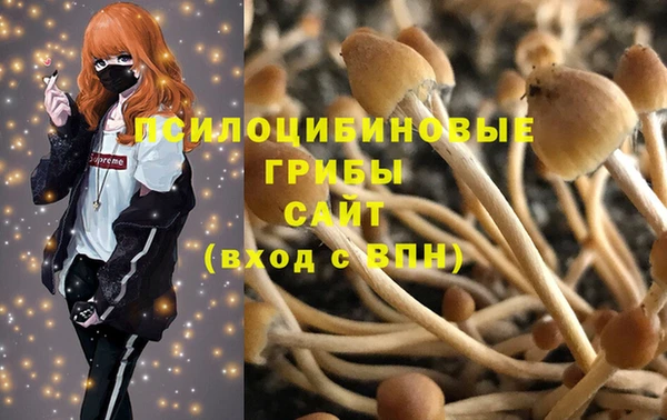 прущие грибы Алексеевка